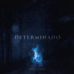 Album cover of DETERMINADO